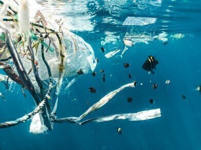 Prevention Better than the Cure for Plastic in the Ocean