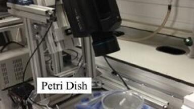 Simultaneous 2-D Surface Temperature and Velocity Measurement