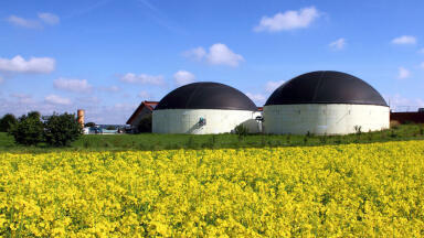 From Waste to Wealth: Optimising Biogas Production for Sustainability, Self Sufficiency and Profitability