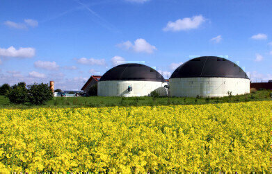From Waste to Wealth: Optimising Biogas Production for Sustainability, Self Sufficiency and Profitability

