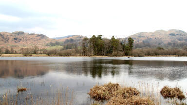 Phosphate monitor protects Cumbrian lake during restoration