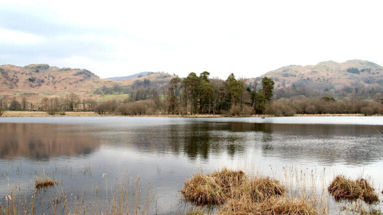 Phosphate monitor protects Cumbrian lake during restoration