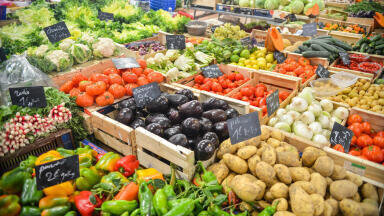 Can We Generate Electricity from Food Waste?