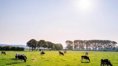 Is Carbon Farming the Solution to a ‘Clapped Out’ Australia?