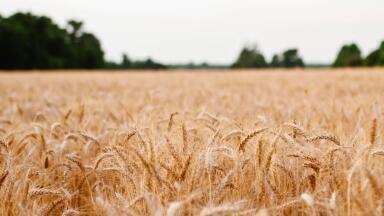 What is Carbon Farming?