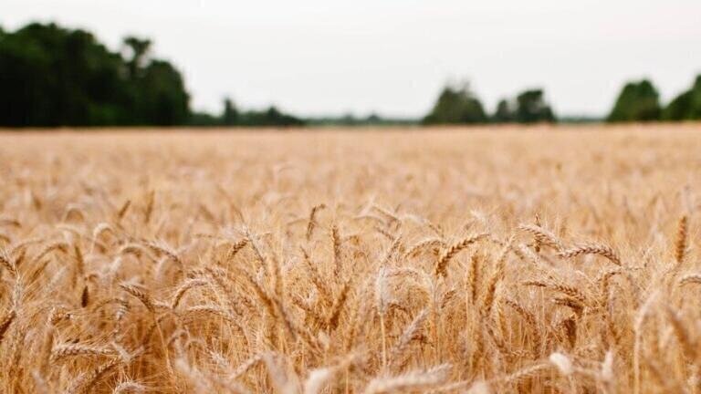 What is Carbon Farming?
