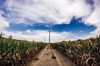Renewable Energy Records Obliterated in 2015

