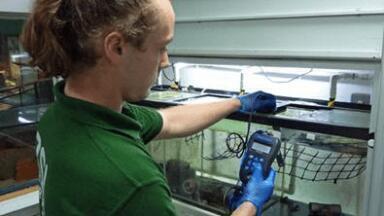 British Water Testing Company Helping London Zoo Keep its Aquatic Inhabitants Safe