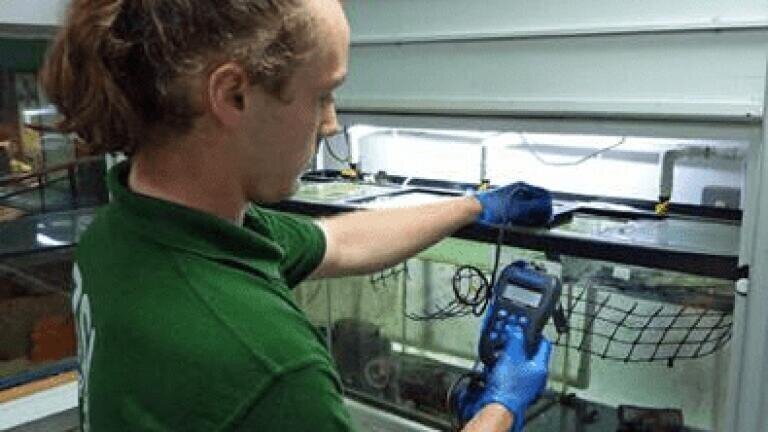 British Water Testing Company Helping London Zoo Keep its Aquatic Inhabitants Safe