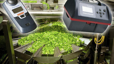 Testing Free Chlorine When Superchlorinating Fresh Produce