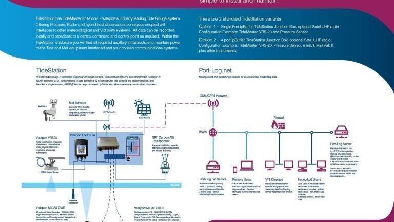 Infographic
