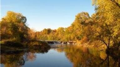Legal Levels of Herbicides Pose Risks for Stream Macroalgae