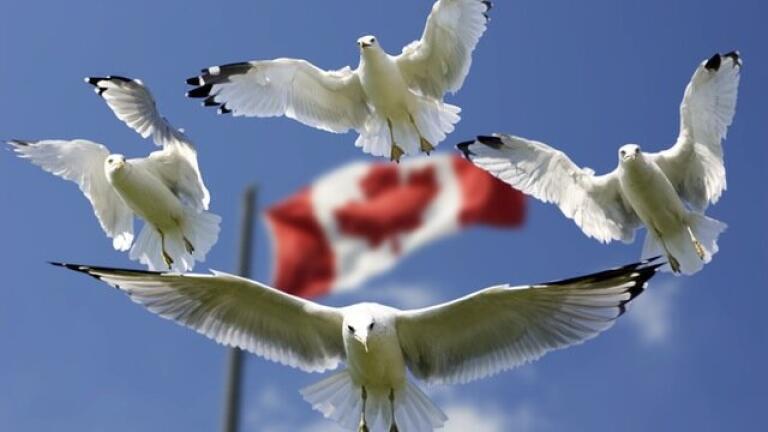 What Is Canada’s Climate Technology Task Force?