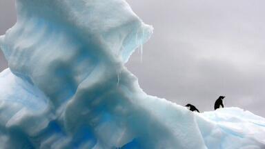Why Are the Earth’s Oxygen Levels Declining?