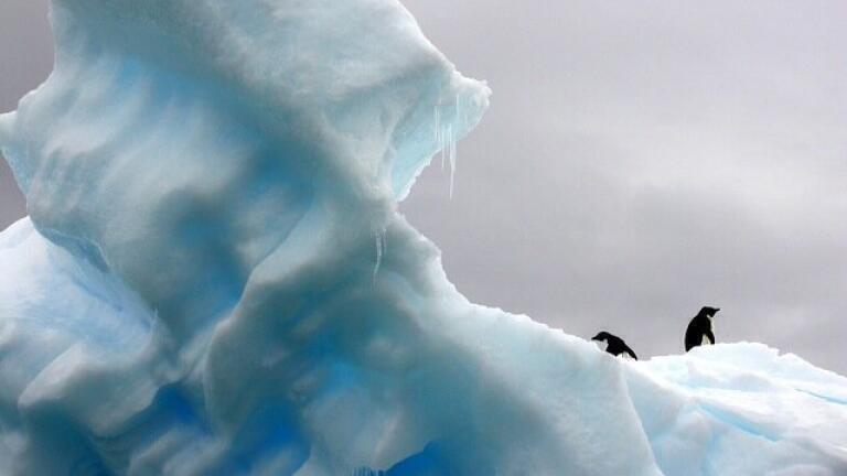 Why Are the Earth’s Oxygen Levels Declining?