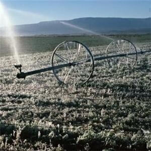 Pesticide campaigner wins ruling  