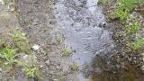 Ribble Rivers Trust Supported with Monitoring Equipment