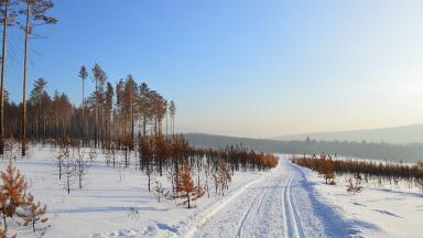What is the Siberian Snow Theory?