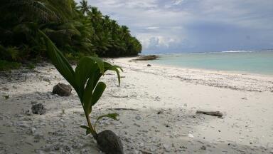 What's So Great about Ta'u's Solar Power?
