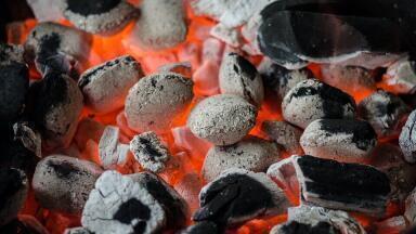 Will Anyone Ban Coal Completely?