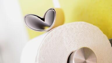 Are Waterless Toilets the Way Forward?