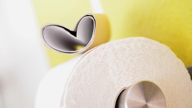 Are Waterless Toilets the Way Forward?