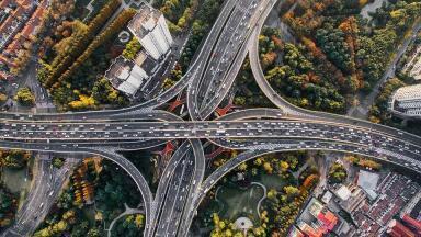 Are Urban Trees a Help or a Hindrance to the Environment?