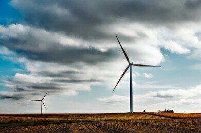 Do Wind Turbines Affect Nearby Crops?
