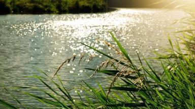 Should Rivers Have Human Rights?
