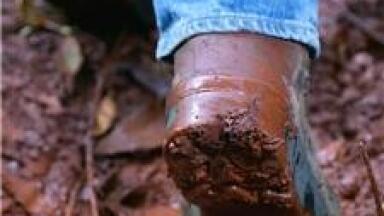 Indian soil \\\'damaged by landslides\\\'