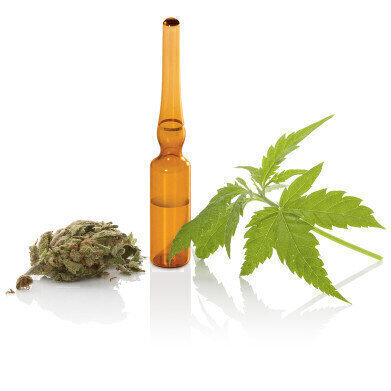 New THCV Standard for Medical Cannabis Testing
