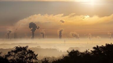 What is the “Carbon Law”?