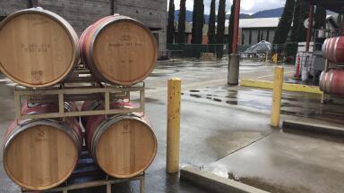 Carbon Dioxide Levels and Safety Considerations in Winemaking