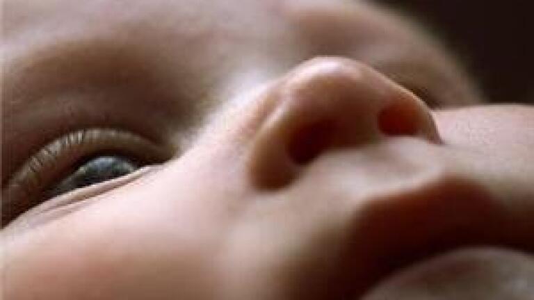 Infertility 'may be caused by household chemicals'