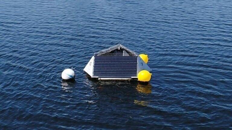 Measuring Nitrate Concentrations in Water Bodies for Algae Prediction and Pollution Detection