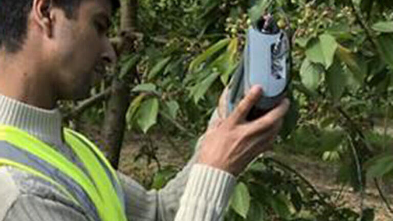 Hand Held Imaging Fluorometer for Optimising Crop Spray Deposits Trialled on Cherry Orchards in Kent