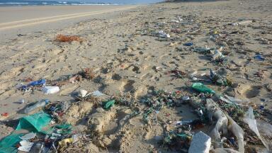 Can Floating Rubbish Collectors Clean the Ocean?