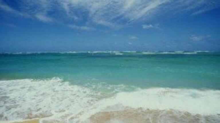Wastewater spills 'have decreased' in Hawaii