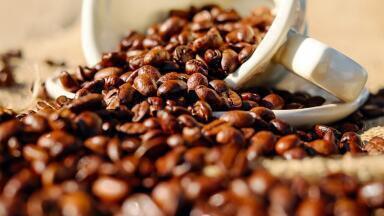 How Will Climate Change Affect Coffee?