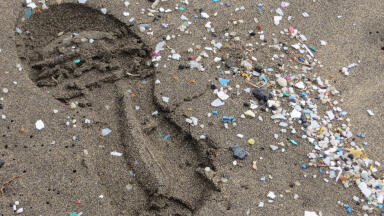 Conducting Microplastics Research?