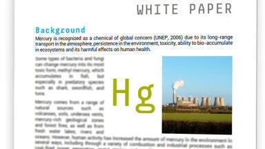 New White Paper on Mercury emissions monitoring