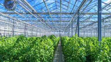 Simulating Agricultural Climate Change Scenarios using Controlled Growth Chambers