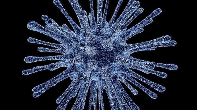 How Does Pollution Affect the Spread of Disease?