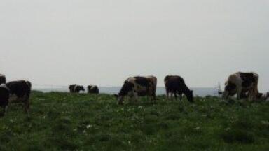EC paper focuses on agriculture's effect on air quality