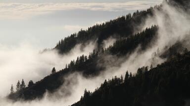 What Are Negative Emissions?