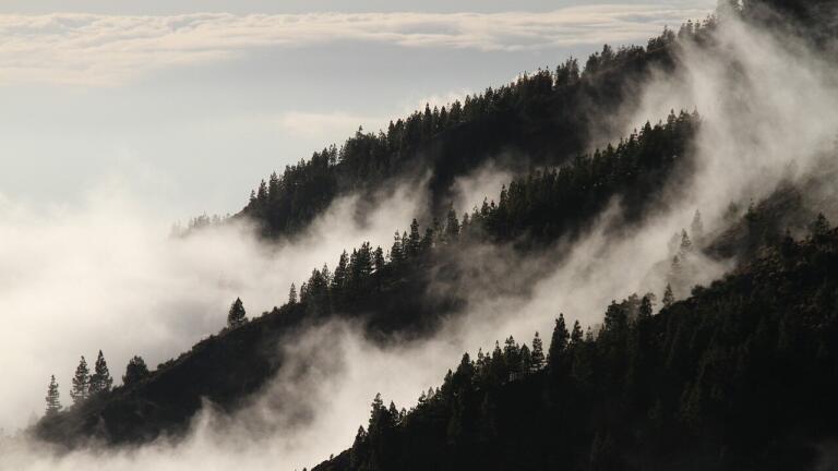 What Are Negative Emissions?