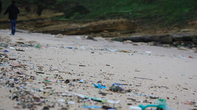 What Is Polluting UK Sea Beds?