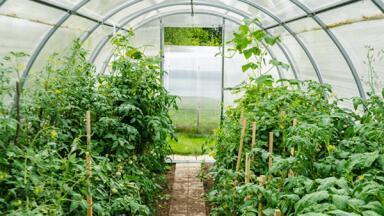 Simulating the Effect of Climate Change on Agriculture