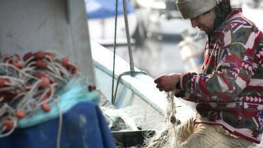 Should Fishing Boats Use Monitoring Technology?