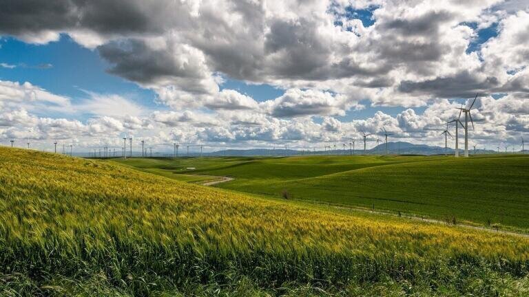 Nuclear Power Stations or Wind Farms - Which Is More Cost-Effective?